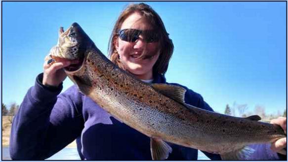 Miramichi Spring Salmon